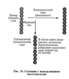 глава 17 генетическая трансформация - student2.ru