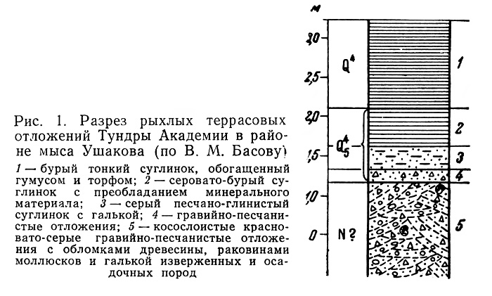 Глава 2. Основные черты четвертичной истории острова Врангеля - student2.ru