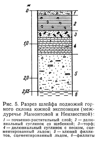 Глава 2. Основные черты четвертичной истории острова Врангеля - student2.ru