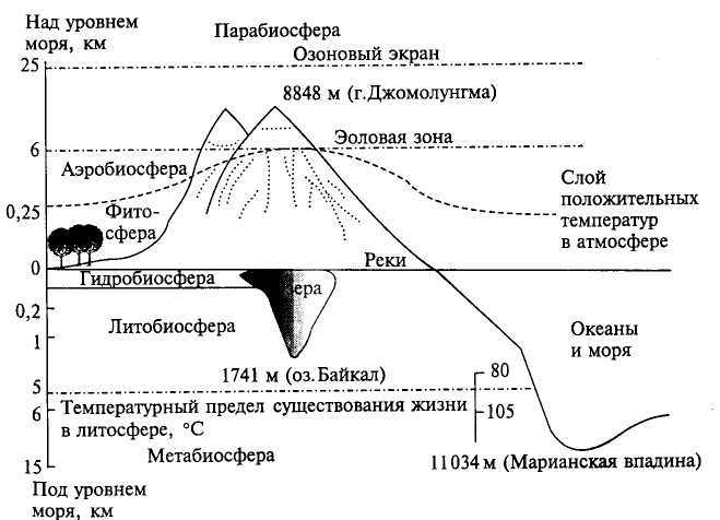 глава 5. состав географической оболочки 3 страница - student2.ru