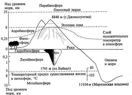 ГЛАВА 5. СОСТАВ ГЕОГРАФИЧЕСКОЙ ОБОЛОЧКИ 3 страница. Подземные воды — это воды, находящиеся в горных породах в жидком, твердом или газообразном состоянии - student2.ru