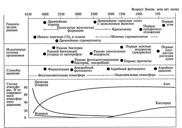 глава 8. основные этапы развития географической оболочки - student2.ru