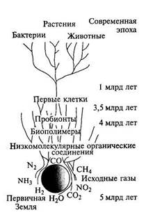 глава 8. основные этапы развития географической оболочки - student2.ru