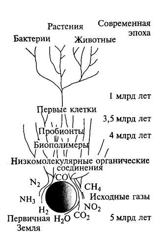 глава 8. основные этапы развития географической оболочки - student2.ru