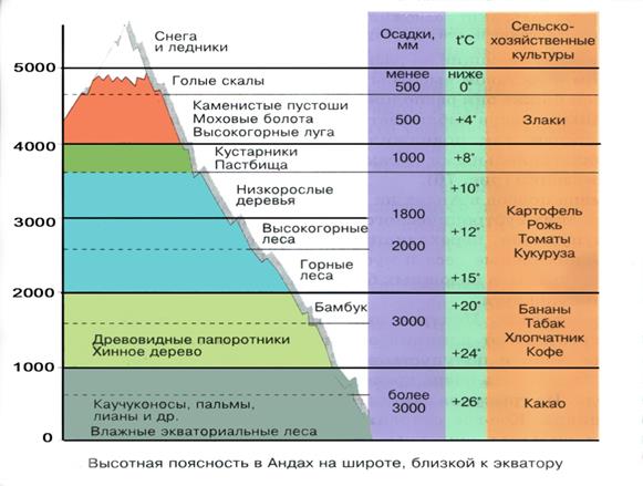 II. Облака вертикального развития. - student2.ru