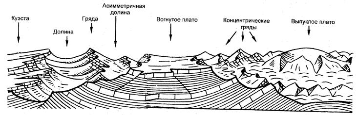 Интенсивность ( в баллах ) по международной сейсмической шкале MSK - 64 - student2.ru