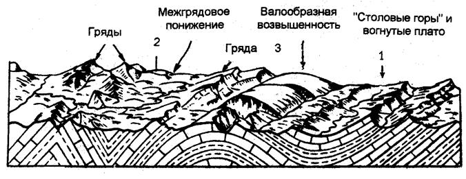 Интенсивность ( в баллах ) по международной сейсмической шкале MSK - 64 - student2.ru