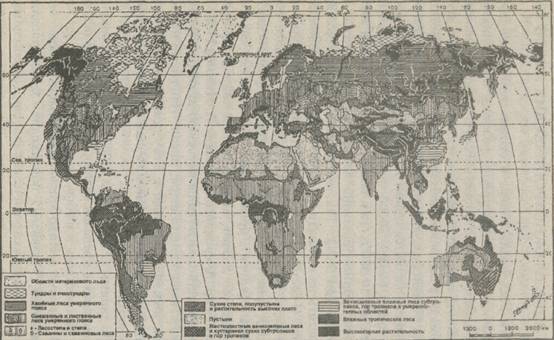 история формирования растительного покрова суши - student2.ru