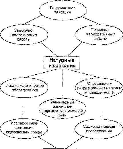 История развития лесопаркового хозяйства 4 страница - student2.ru