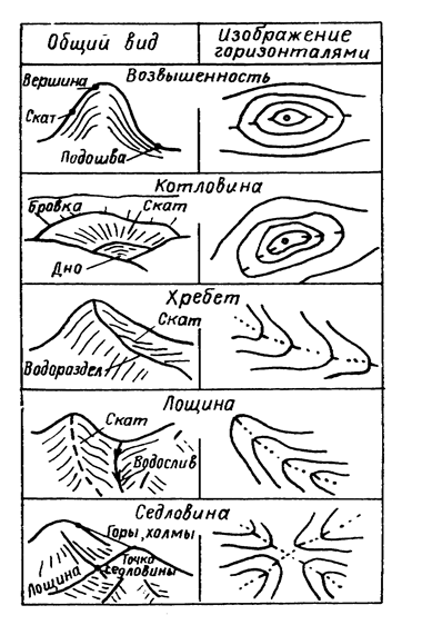 изображение рельефа горизонталями - student2.ru