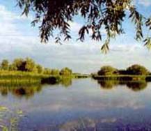 Какие озера и водохранилища располагаются в Оренбургской области? - student2.ru