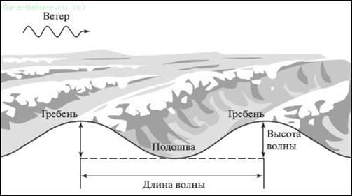 Химический и газовый состав. - student2.ru