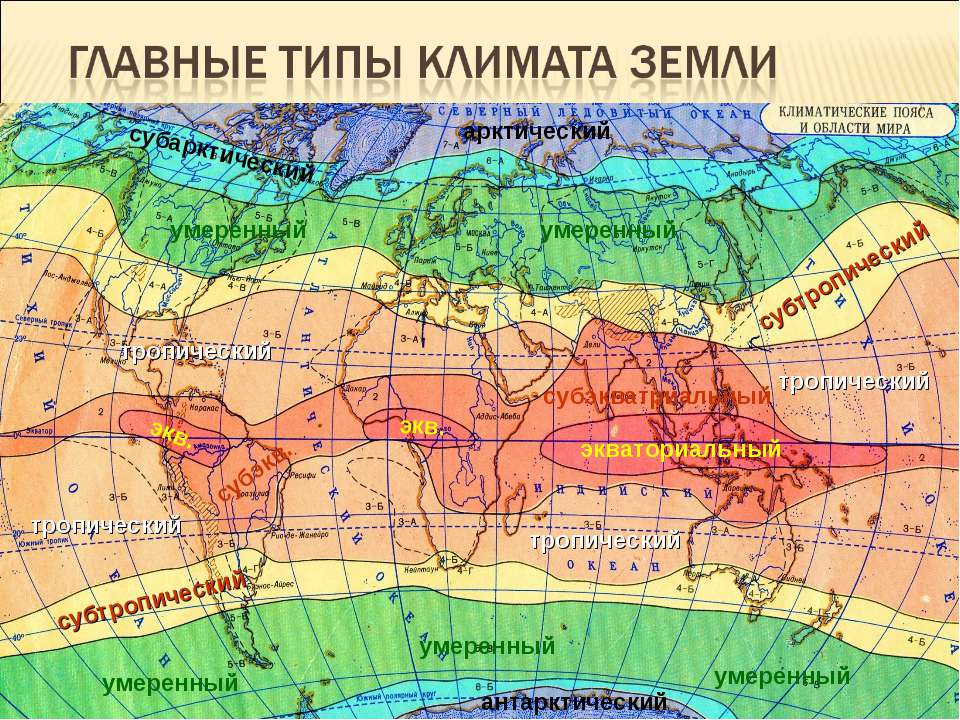 Краткая характеристика климатических поясов Земли - student2.ru
