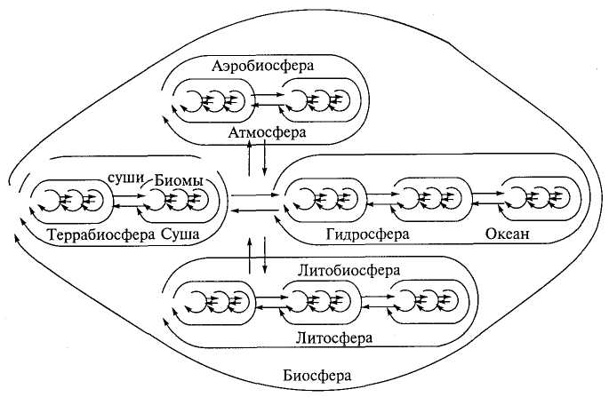 Круговорот вещества и энергии — одно из основных свойств динамики географической оболочки - student2.ru