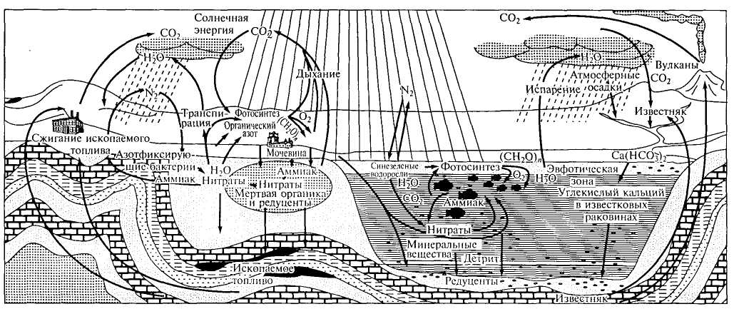 Круговорот вещества и энергии — одно из основных свойств динамики географической оболочки - student2.ru
