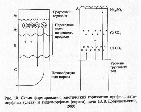 Ландшафтно-геохимический подход к изучению природных территориальных комплексов - student2.ru