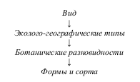 Лекция 13 Сортоведение полевых культур. - student2.ru