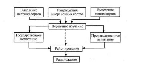 методика проведения государственного сортоиспытания - student2.ru