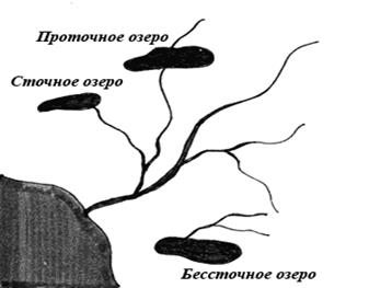 Моря как часть Мирового океана - student2.ru