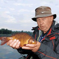 Наживки для рыбалки осенью - student2.ru