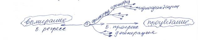 Основные пути и направления эволюции - student2.ru