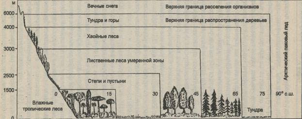 Основные третичные реликты флоры Западного Кавказа и Закавказья - student2.ru