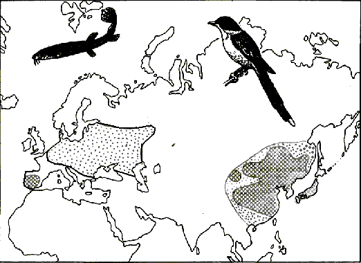 Підрахувати біомасу птахів в біотопах а, б, в, (цифрами позначено іщільність ос\га - student2.ru