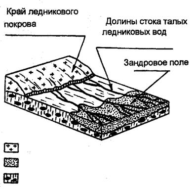 По краю ледника большое число мелких рек и ручьев. Они перемещают и аккумулируют материал зандров - пески и др. Создаются зандровые поле ( равнины ) - student2.ru