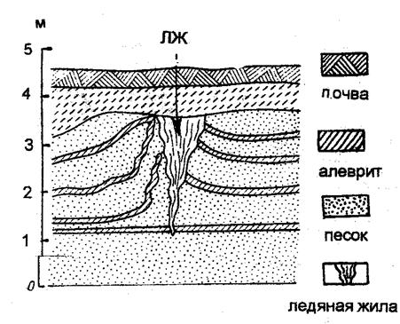 По краю ледника большое число мелких рек и ручьев. Они перемещают и аккумулируют материал зандров - пески и др. Создаются зандровые поле ( равнины ) - student2.ru