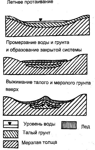 По краю ледника большое число мелких рек и ручьев. Они перемещают и аккумулируют материал зандров - пески и др. Создаются зандровые поле ( равнины ) - student2.ru