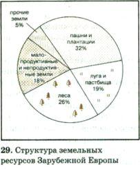 Растительность, почвы и животный мир. - student2.ru