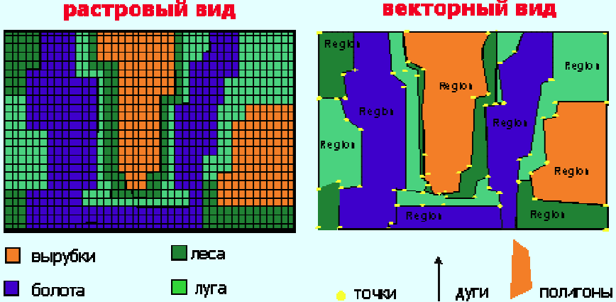 Сопоставление векторной и растровой модели - student2.ru