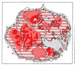 Тектонические схемы континентов на современной и палеотектонической основе - student2.ru