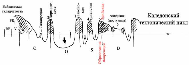 тектоника, палеогеография, фации - student2.ru