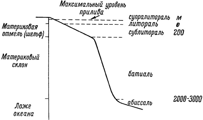 Тема 1. «Калейдоскоп Японского моря». - student2.ru