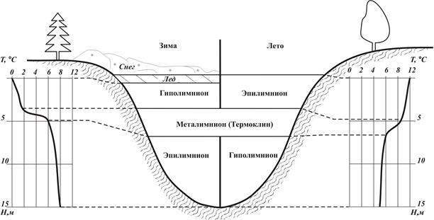 Термический режим водоёмов - student2.ru