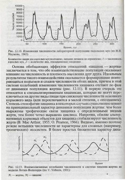 Типы популяционных стратегий - student2.ru