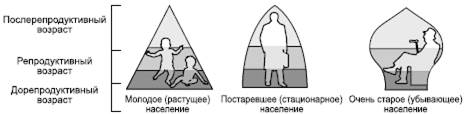 Возрастная структура населения мира - student2.ru