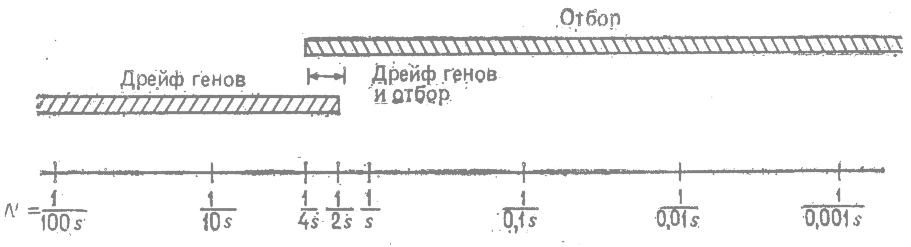 Эффект отбора - student2.ru