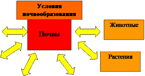 этап. актуализация опорных знаний. - student2.ru