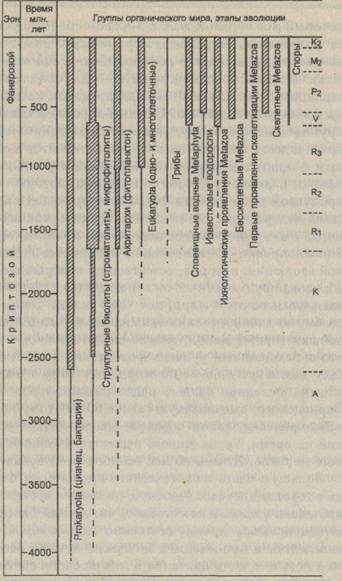 эволюция организмов в истории биосферы - student2.ru