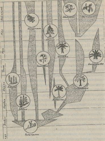 эволюция организмов в истории биосферы - student2.ru