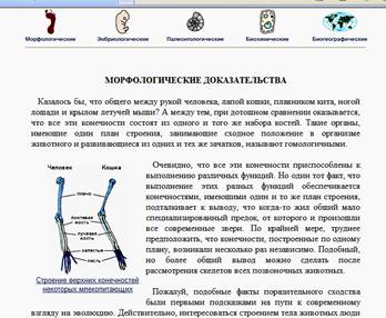 Задание по теме «Палеонтологические доказательства» - student2.ru