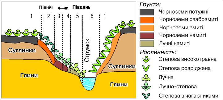 ЗАНЯТТЯ № VI-13. АНАЛІЗ ЛАНДШАФТНОЇ КАРТИ УКРАЇНИ - student2.ru