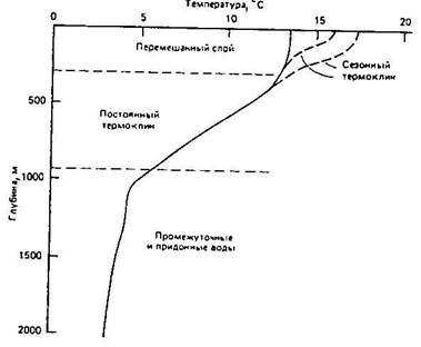 глава 14.0. геологическая деятельность окенаов и морей - student2.ru