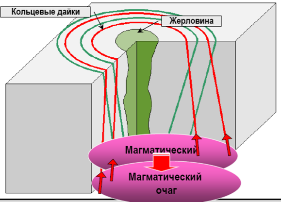 короткие, не выходят за пределы (прямолинейные, протяженные - student2.ru