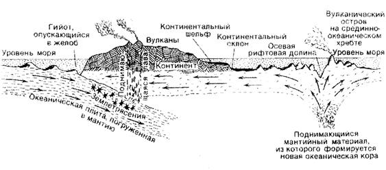 Представления об эндогенных процессах - student2.ru