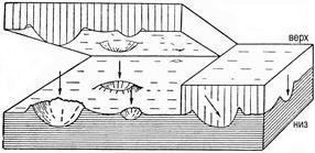Строение поверхностей наслоения. Определение кровли и подошвы слоёв - student2.ru