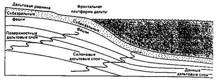 Устьевые части рек, дельты, эстуарии. - student2.ru