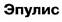 основные принципы диагностики врожденных пороков развития - student2.ru